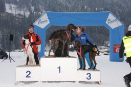 Lenk 2012 SM